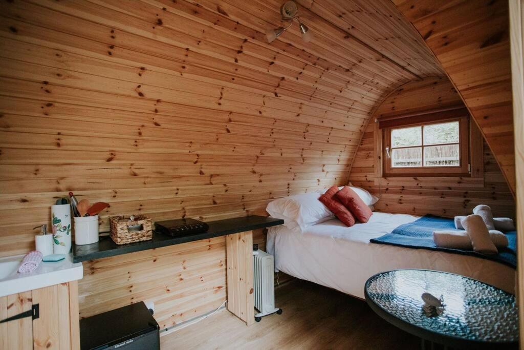 River Side Cabin With Hot Tub Snowdonia Apartment